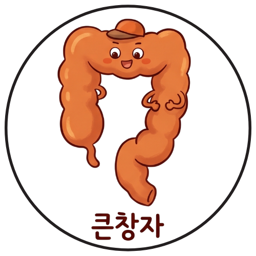 큰창자